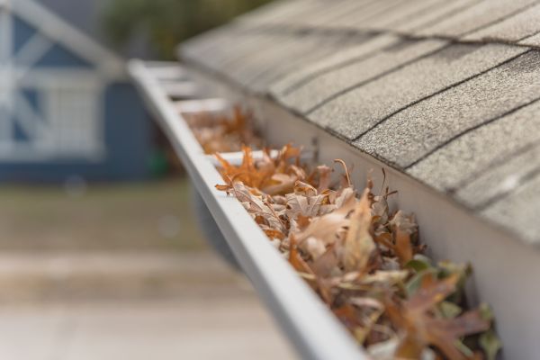 Leaf Barrier Installation in Leland