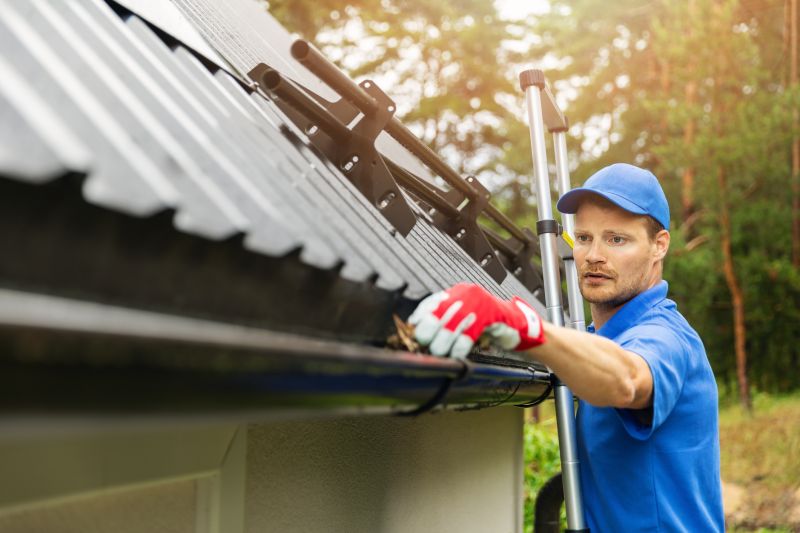 Gutter Maintenance Experts